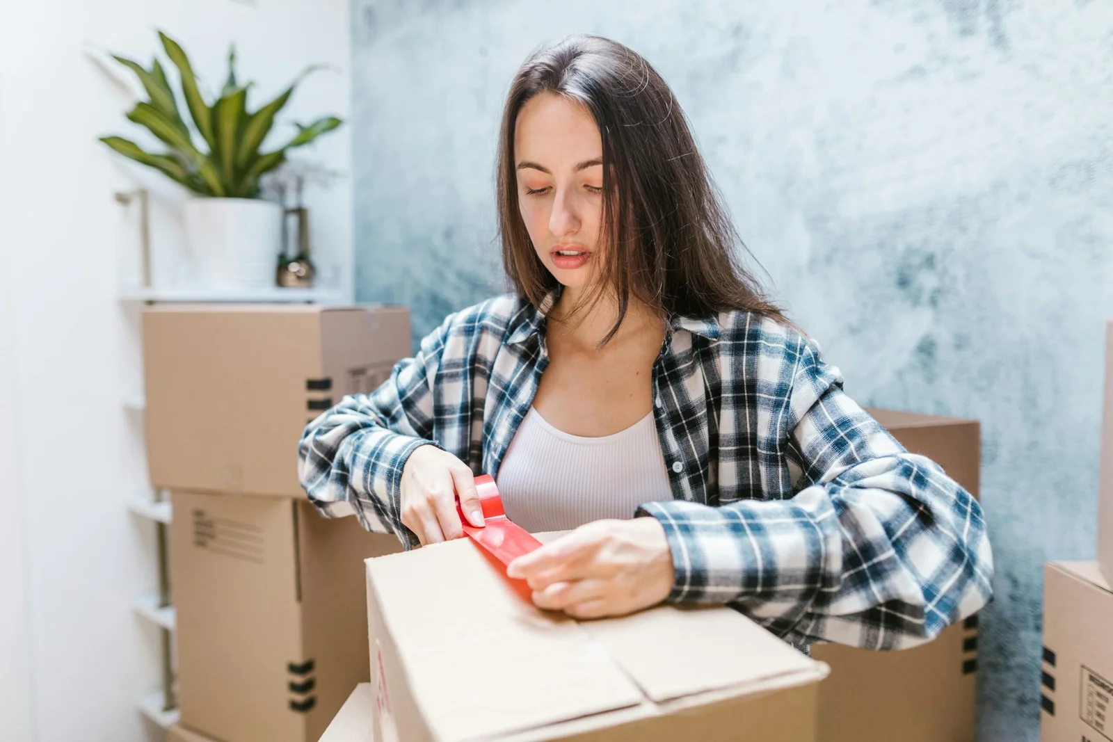 Apartment Relocation in Abu Dhabi